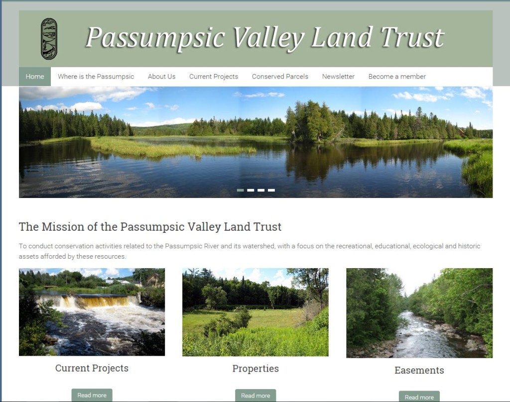 Cathi Levey - wordpress, website development, web pages - Onion River Web Design, Fayston Vermont